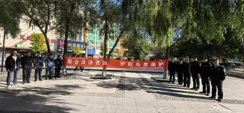 以法之名，守护蓝天精灵