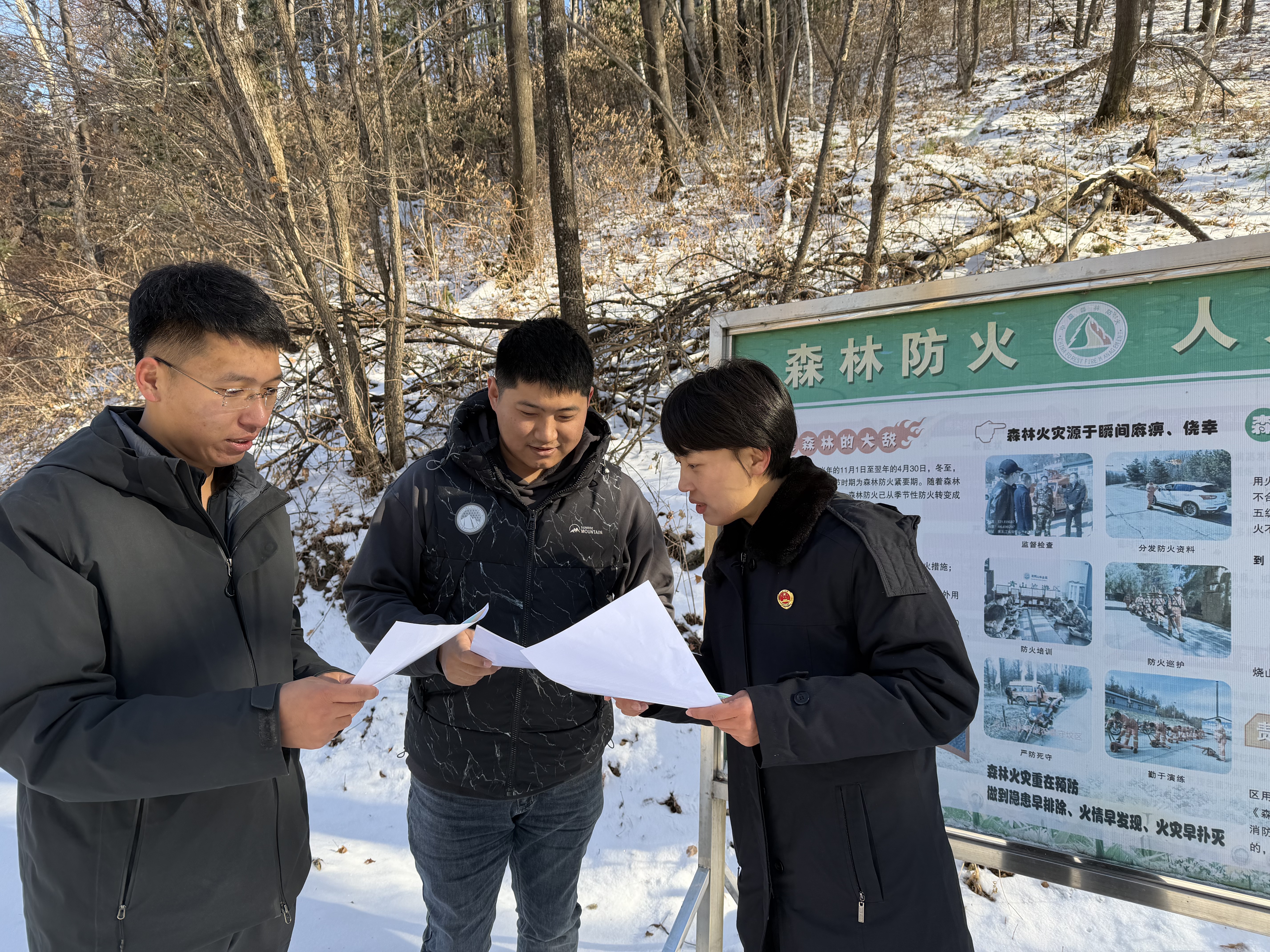 双桦：防患未“燃”护青绿！