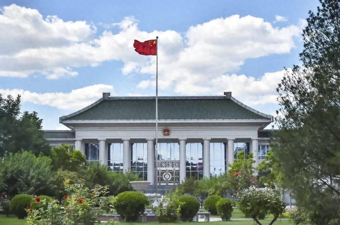 读原著学原文悟原理，坚持不懈学深悟透做实习近平法治思想