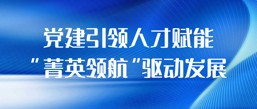 党建引领人才赋能，“菁英领航”驱动发展