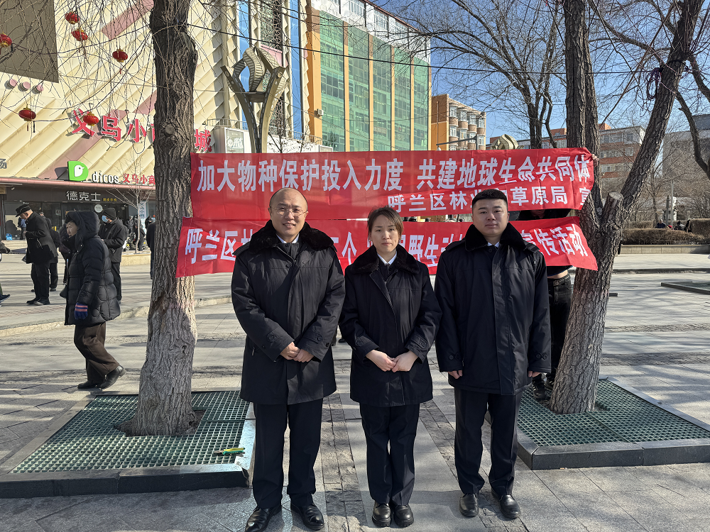 守护绿水青山，共建和谐家园——呼兰检察联合多部门开展“世...