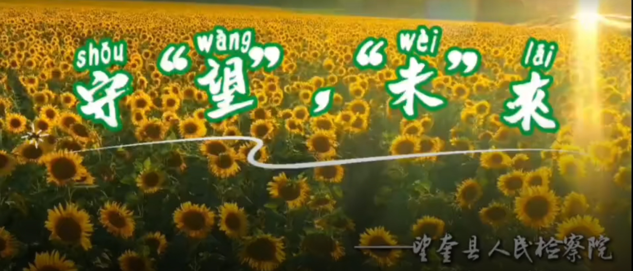 短视频  ▏《守“望”，“未”来》