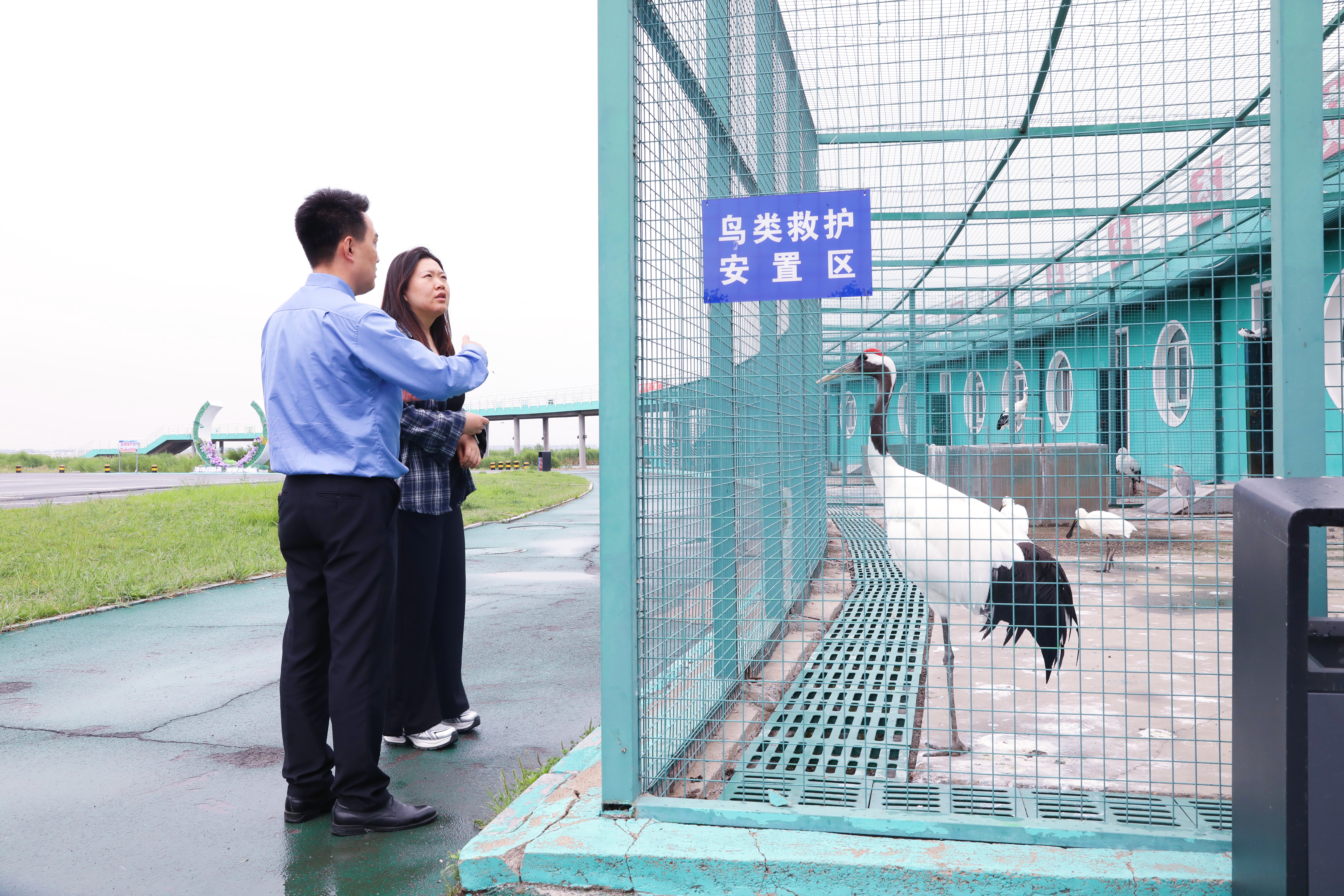龙凤区检察院与龙凤湿地自然保护中心积极对接