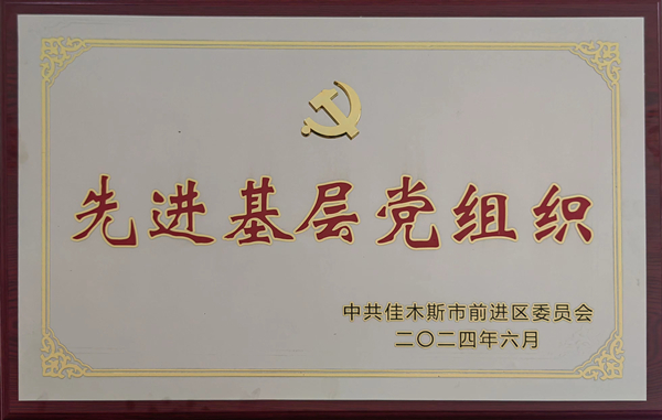 【喜报】佳木斯市前进区人民检察院党支部、党务工作者荣获全...